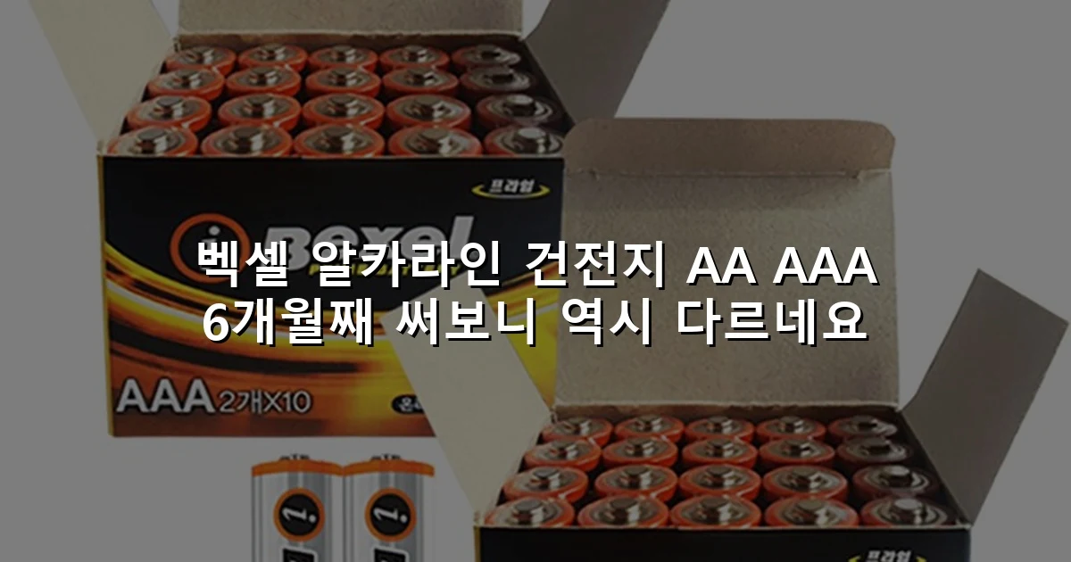 벡셀 알카라인 건전지 AA AAA 6개월째 써보니 역시 다르네요