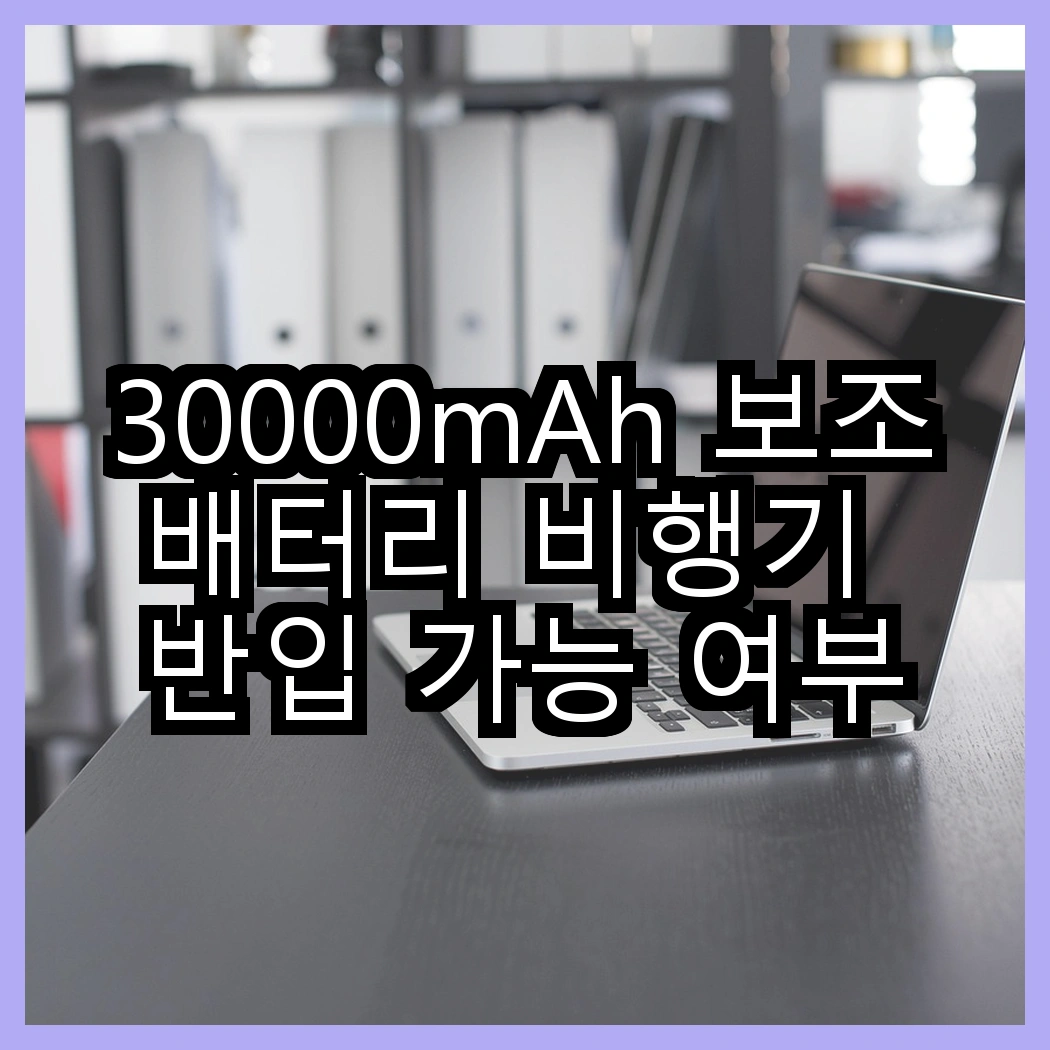 30000mAh 보조배터리 비행기 반입 가능 여부와 규제 썸네일