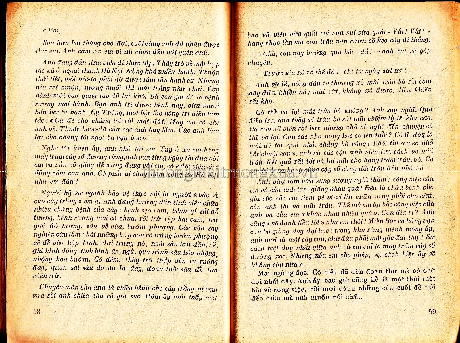 Chân trời xa (tập truyện ký - 1977) - Trang 29