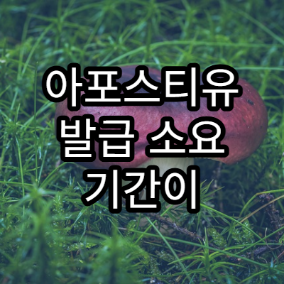 아포스티유 발급 소요 기간이 길어지는 이유 정리