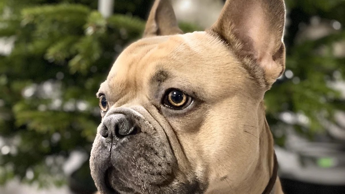 신용카드 실적 조건 비교, 어떤 카드가 더 유리할까