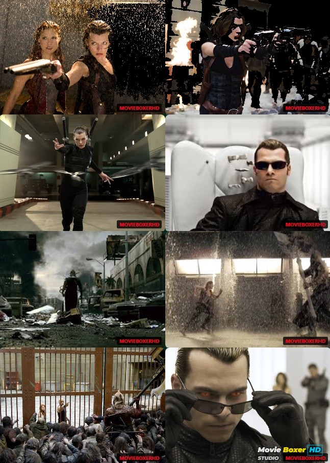 Screenshots Grid