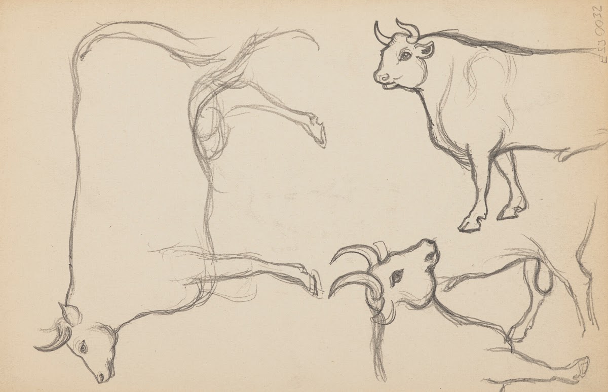 Études danimaux de paysages et de modèles