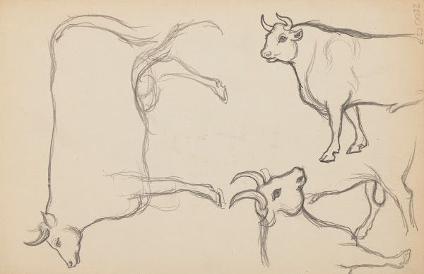 Études danimaux de paysages et de modèles