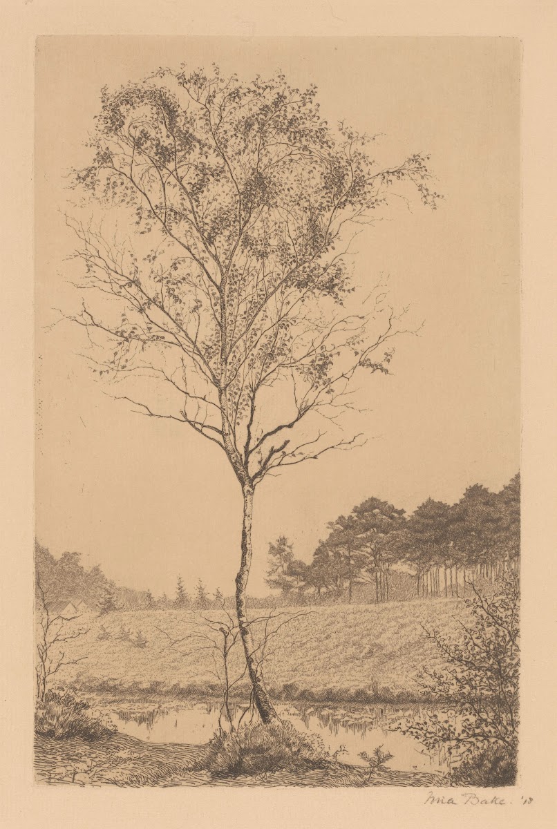 Studie van een berk 1918