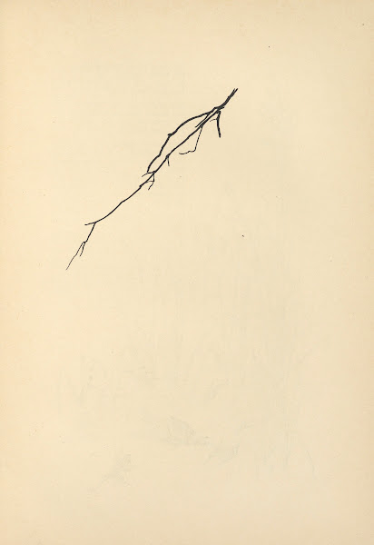 Vom Zufrieden Werden Pl29 1932
