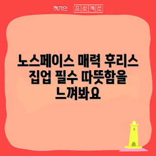노스페이스 후리스, 노스페이스 후리스 집업, 아웃도어 초보, 캠핑 의류, 겨울 패션