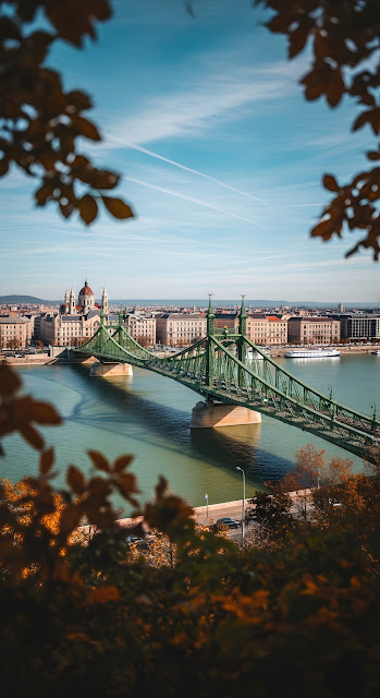 Liberty Bridge Budapest in Autumn Framing - Free mobile Wallpaper
