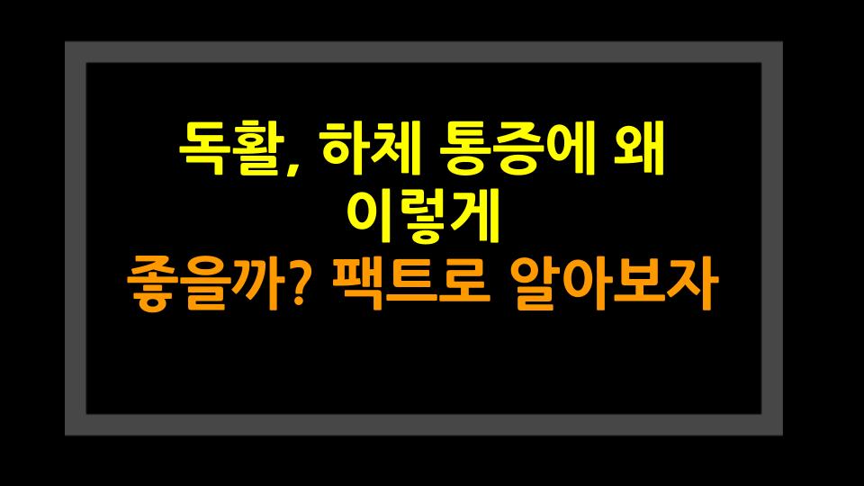 독활, 하체 통증에 왜 이렇게 좋을까? 팩트로 알아보자