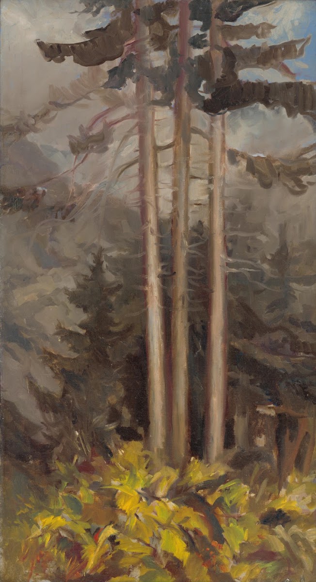 Spruces 1930