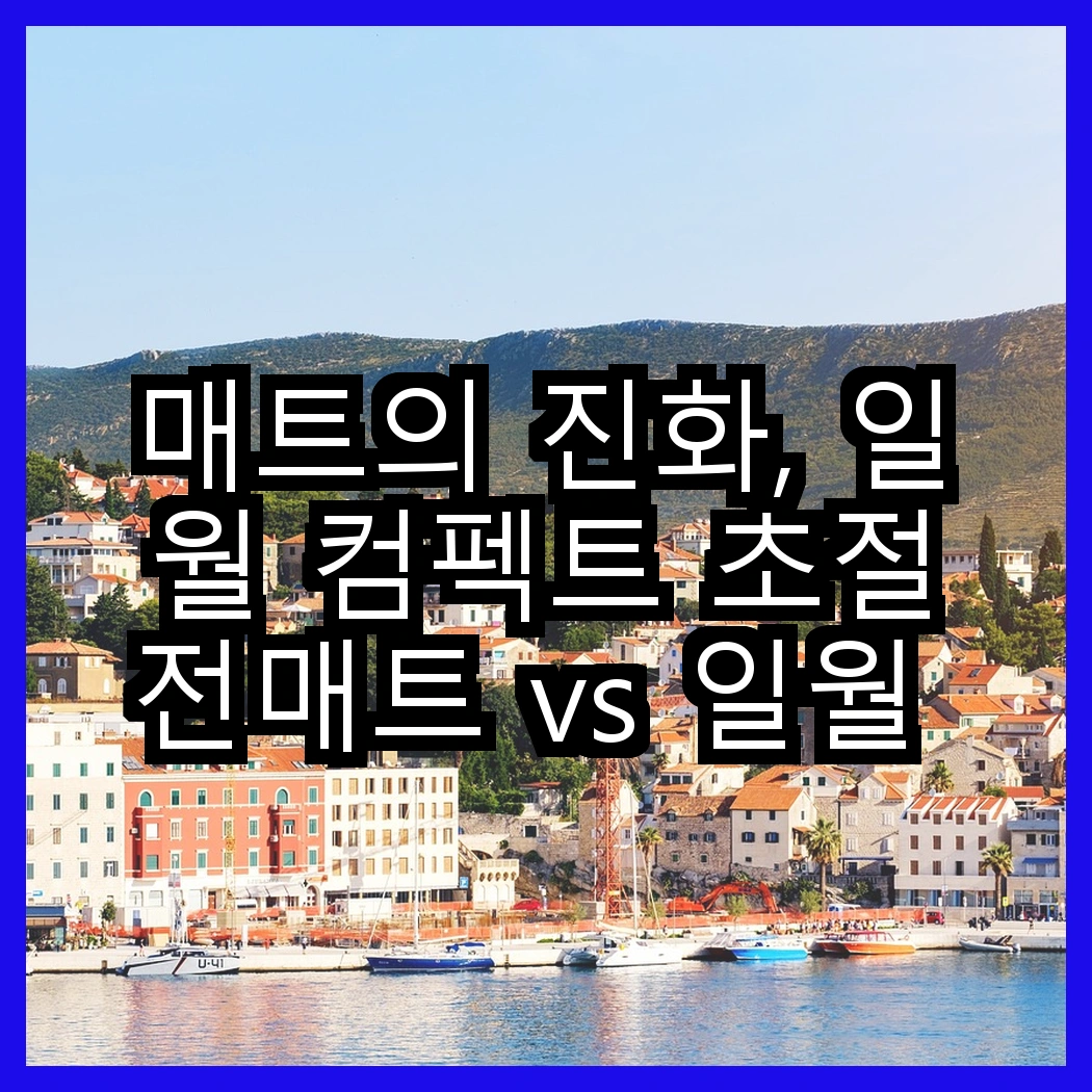 매트의 진화, 일월 컴펙트 초절전매트 vs 일월 숲속애 온수매트, 어떤 선택이 더 따뜻할까? 썸네일