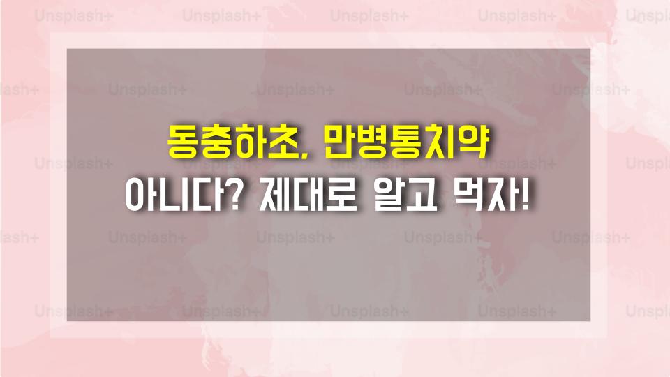 동충하초, 만병통치약 아니다? 제대로 알고 먹자!