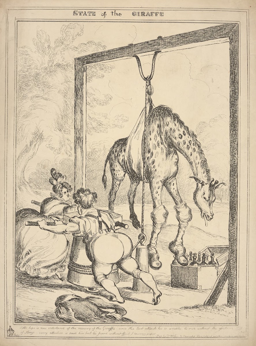 State of the giraffe 1829