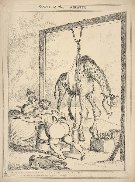 State of the giraffe 1829