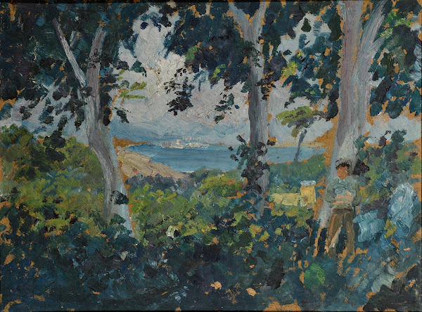 View through Trees on a Southern Bay at th Sea