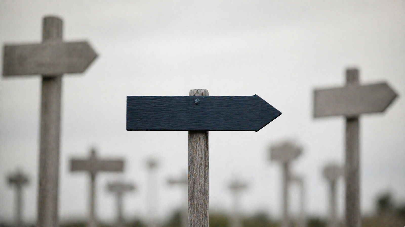 Why Clearer Positioning Is the Most Underused Growth Strategy in Service Businesses