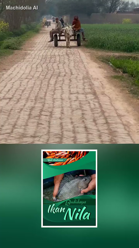 Buku Budidaya Ikan Nila