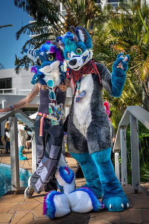 furdu-03934.jpg