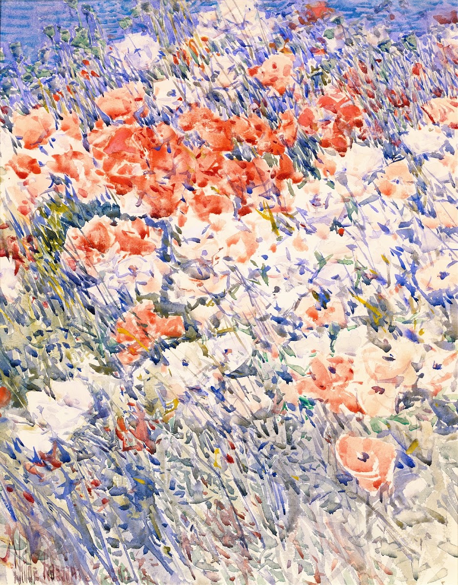The Island Garden 1892