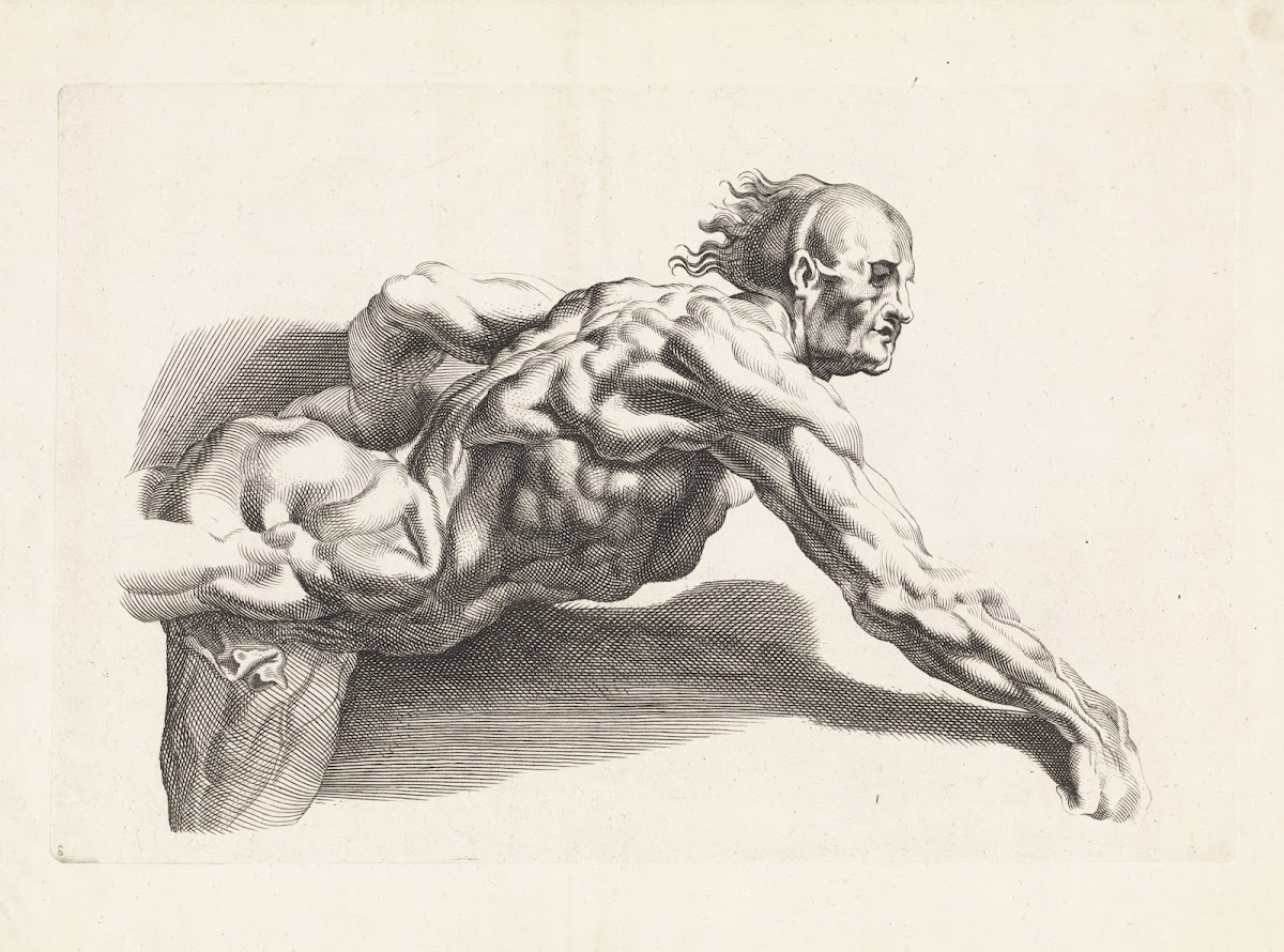 Anatomical study of a man leaning forward 1616   1657