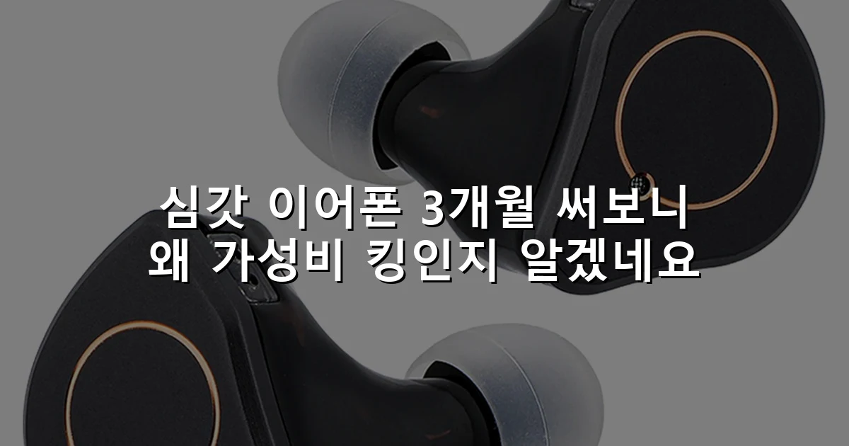 심갓 이어폰 3개월 써보니 왜 가성비 킹인지 알겠네요