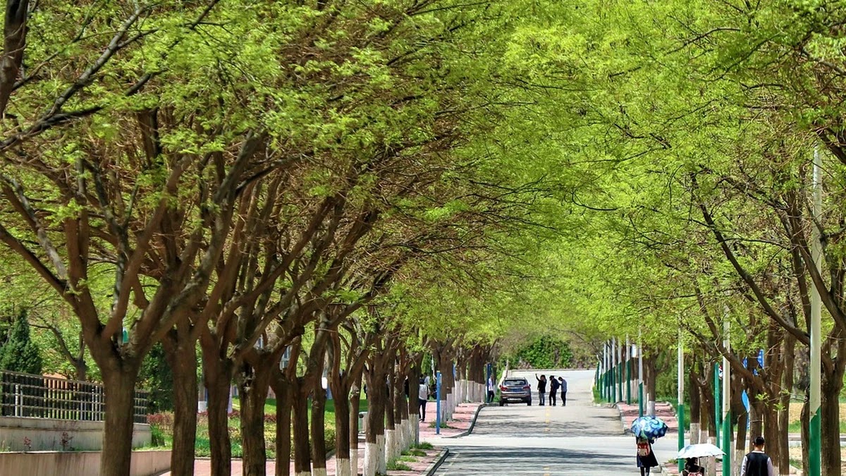 국공립과 사립 고등학교 비교, 학교 선택 시 고려할 점