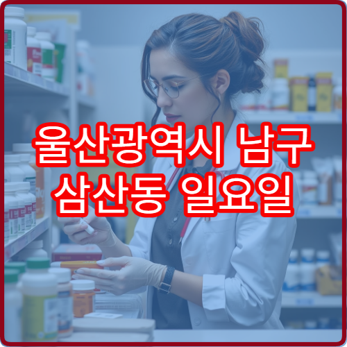 울산광역시 남구 삼산동 일요일 당직약국 위치와 영업시간 모음 위치 전화번호 모음