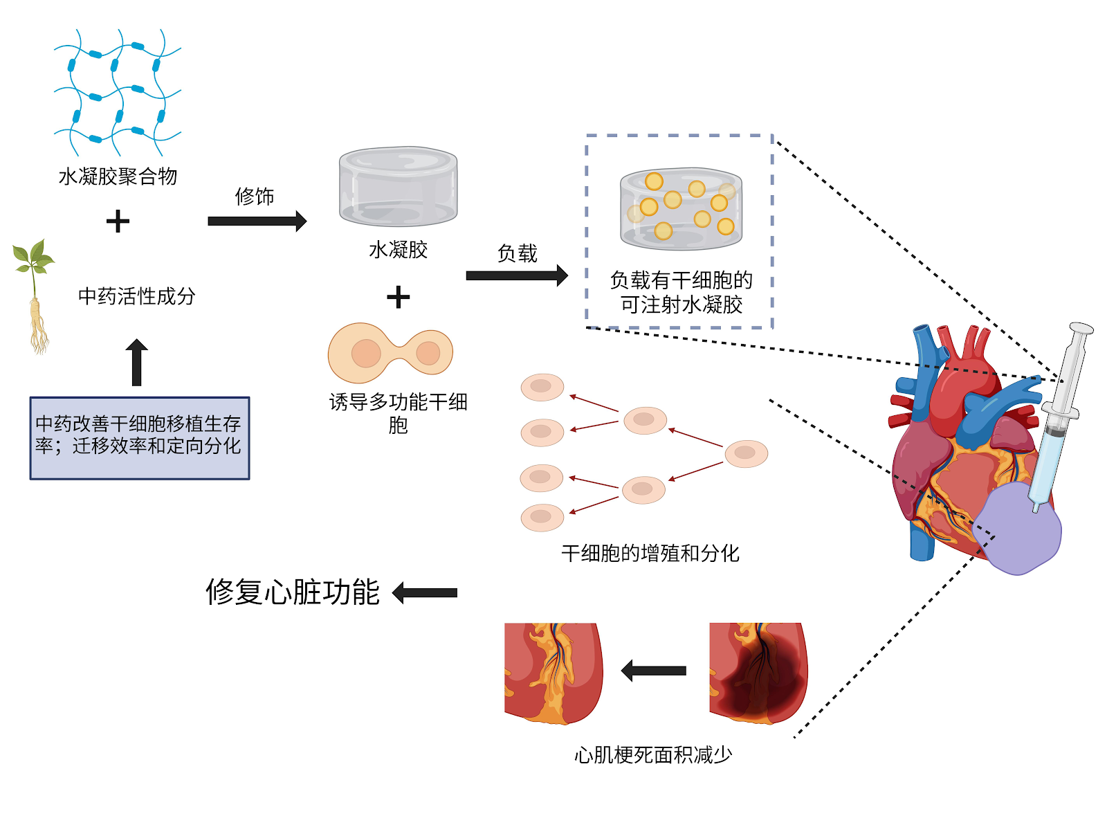 Potential and application prospects of combined treatment of acute myocardial infarction with hydrogel cardiac patches and traditional Chinese medicine
