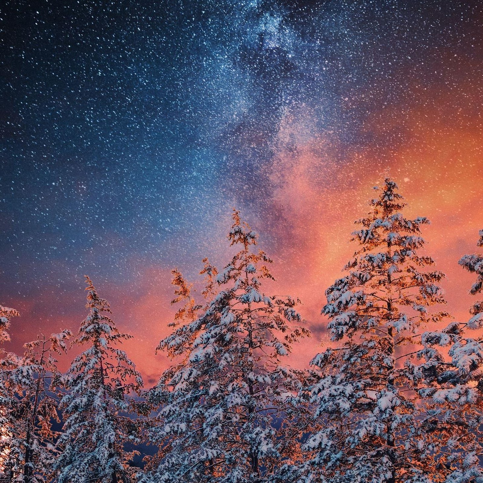 Download Starry Night Over Snowy Forest 2K iPhone