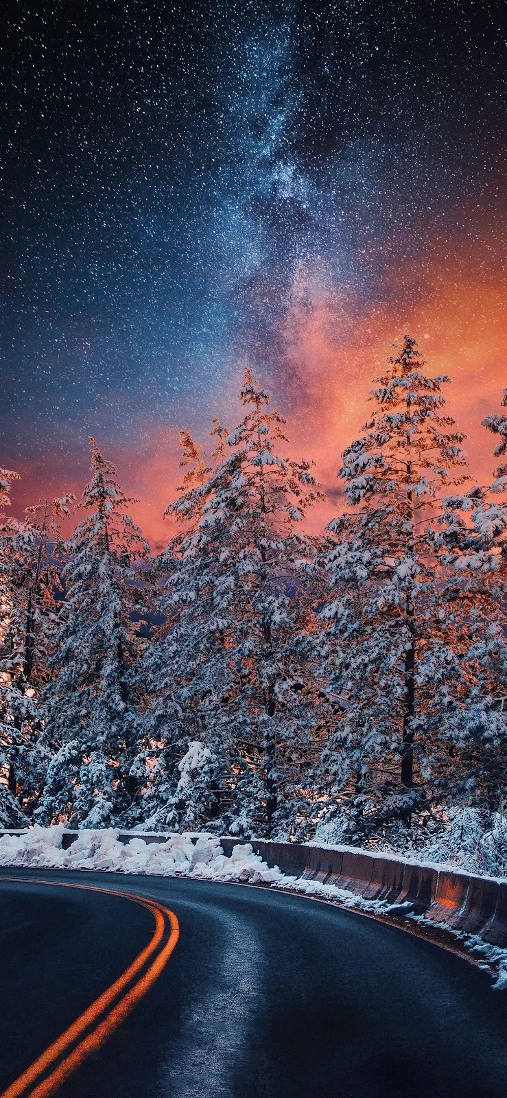 Starry Night Over Snowy Forest - Landscape Photography 2K iPhone Wallpaper (1461x3165)