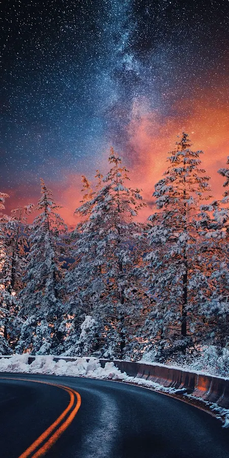Starry Night Over Snowy Forest 2K iPhone Phone Wallpaper