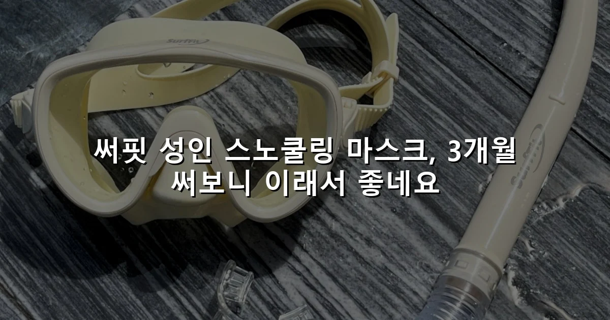 써핏 성인 스노쿨링 마스크, 3개월 써보니 이래서 좋네요