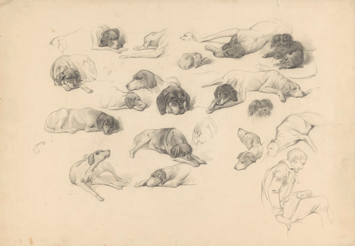 Schetsblad met diverse hondenstudies 1848   1927