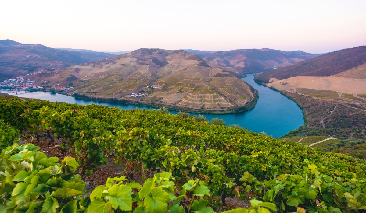 A Day in Portugal's Countryside: Lamego & Coimbra
