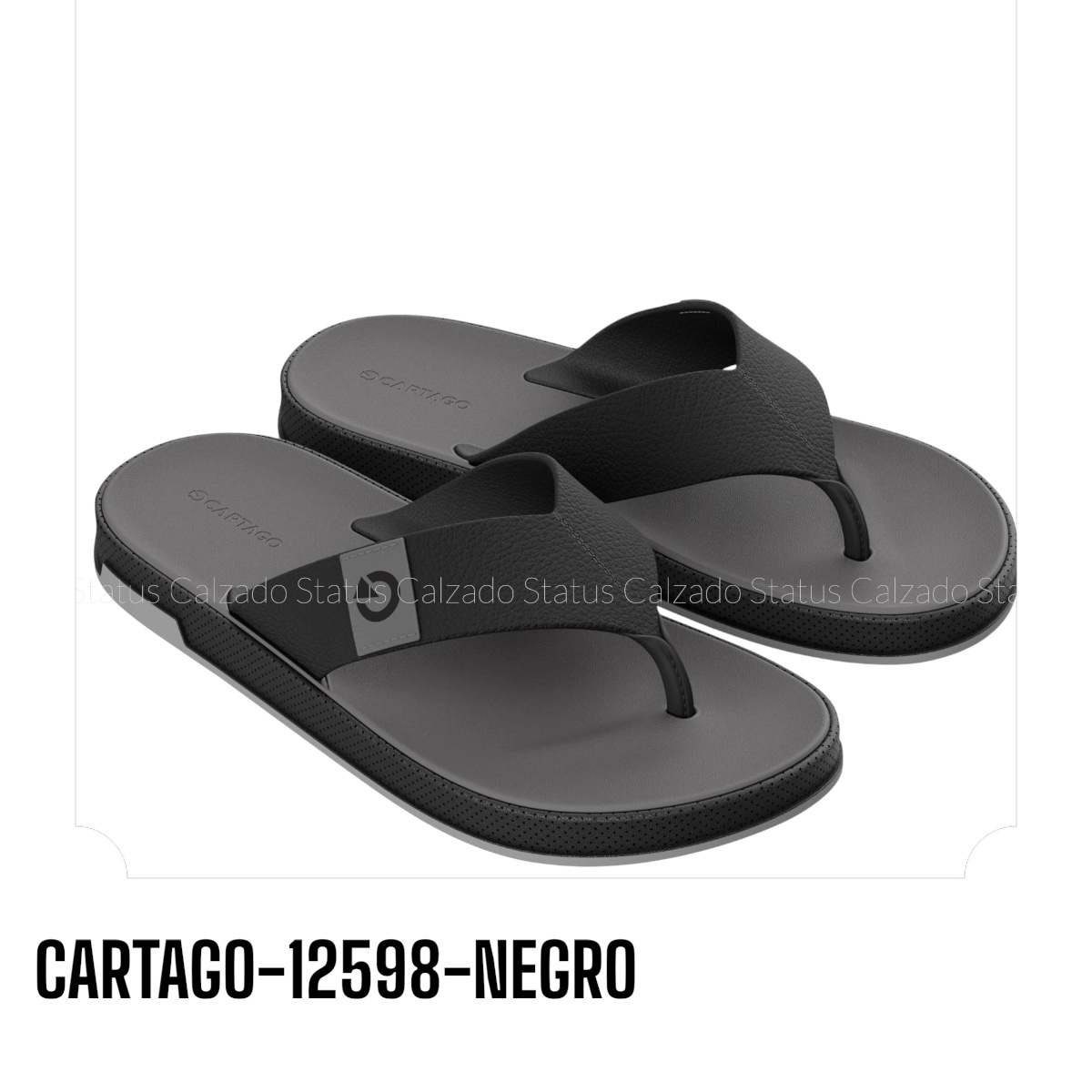 CARTAGO-12598-NEGRO
