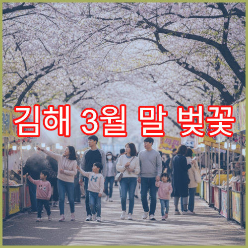 김해 3월 말 벚꽃 드라이브 코스와 숨은 주차장 위치