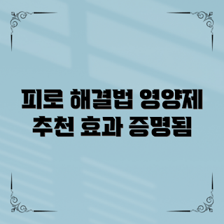 피로회복에좋은영양제, 피로 회복제, 에너지 보충제, 비타민 B군, 천연 영양제