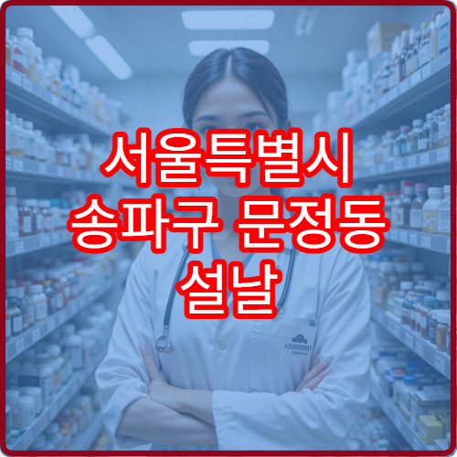 서울특별시 송파구 문정동 설날 명절 연휴 휴일 운영 약국 위치 정리