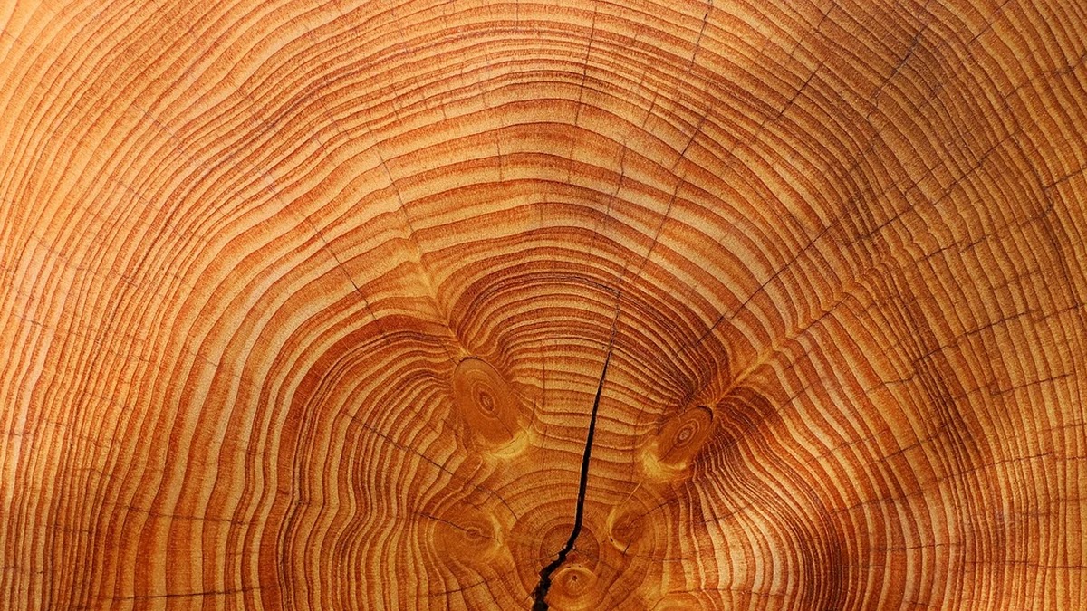 MBTI 유형별 스트레스 대처법과 심리 패턴 분석