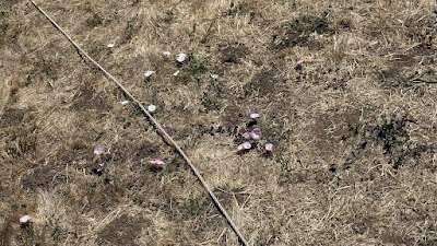 IMG_4858.jpeg