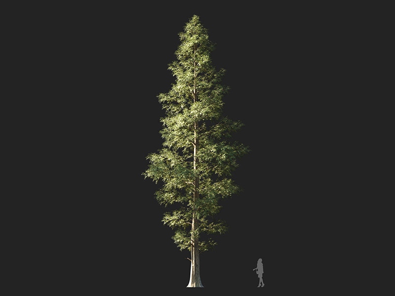 Maxtree - Plant Models Vol.132
