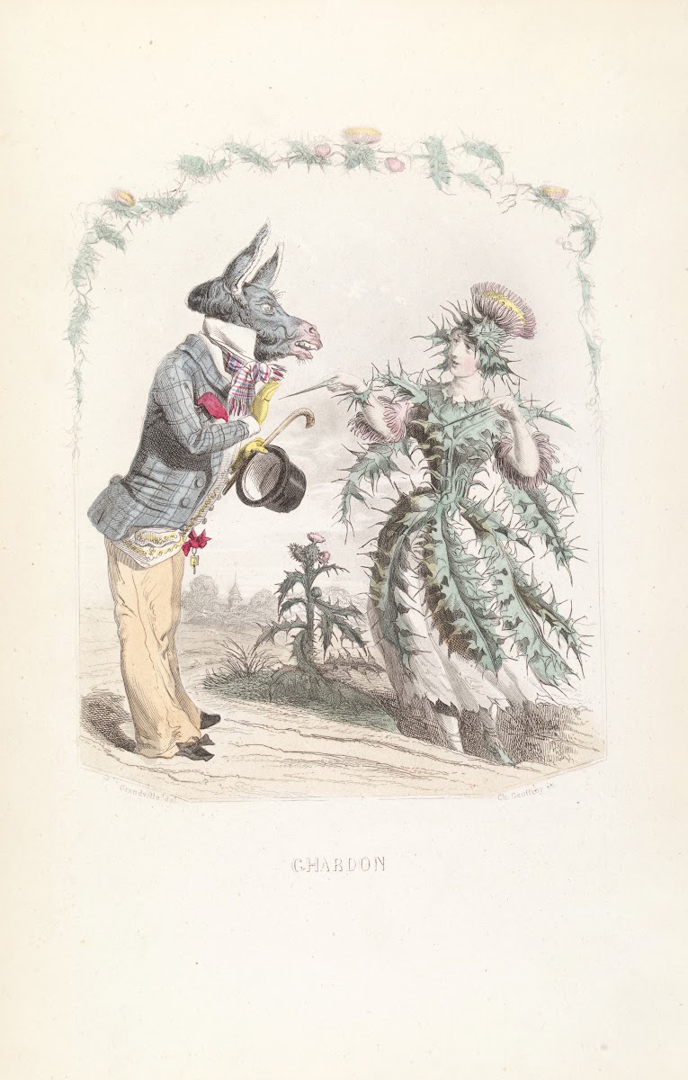 Ghardon 1840s