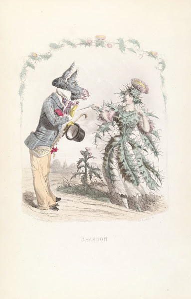 Ghardon 1840s