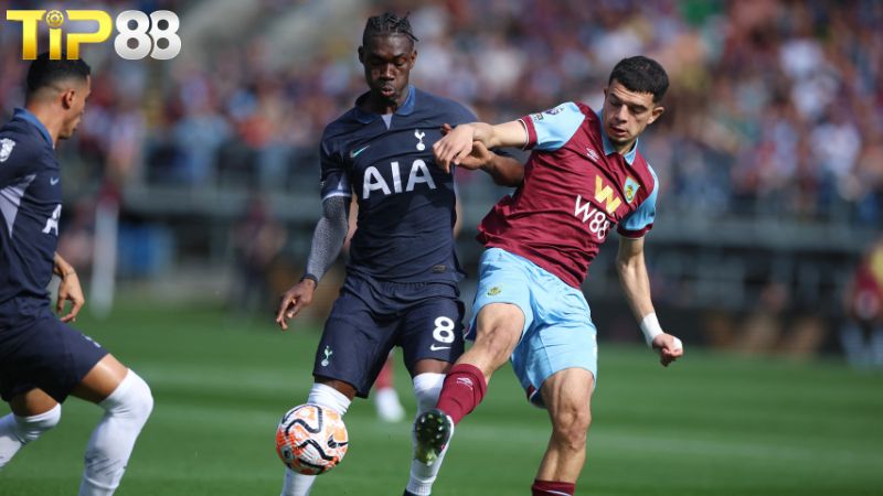Lịch sử đối đầu giữa Burnley vs Tottenham
