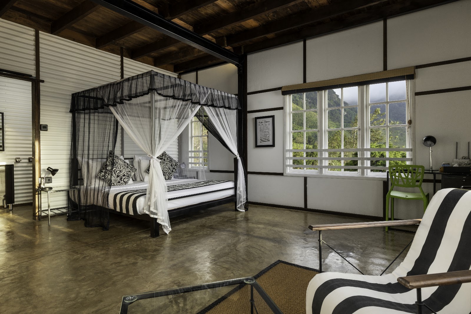 Room at Tea & Experience