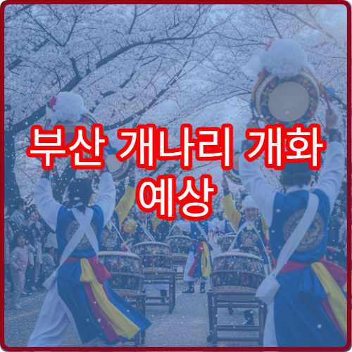 부산 개나리 개화 예상 부산 개나리 절정 시기