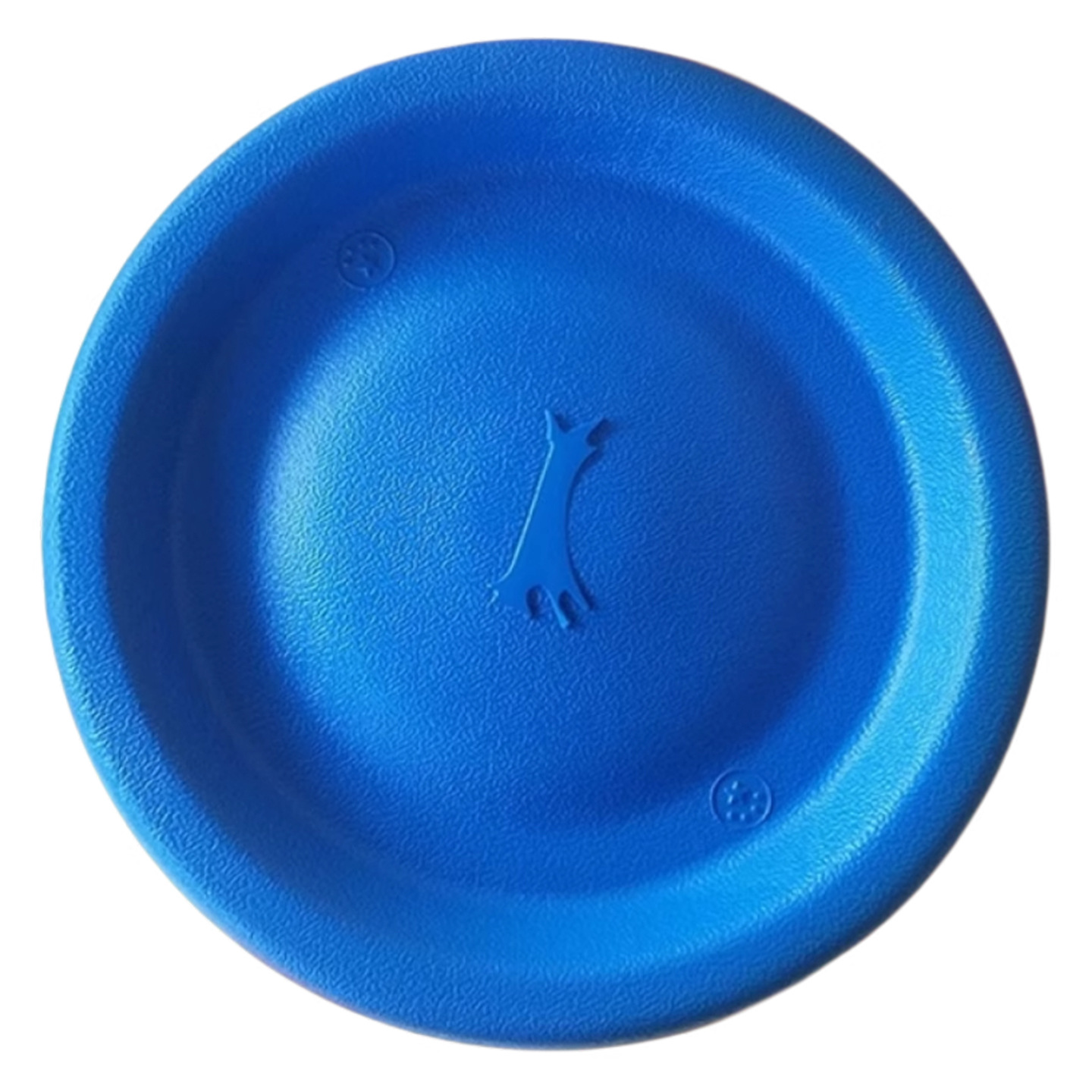 EVA training frisbee for dogs, soft, bite-resistant