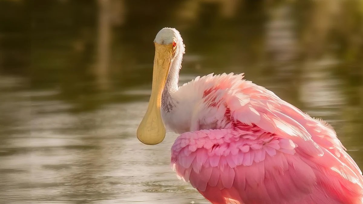 병원비 절약을 위한 진료비 계산법과 청구 시 주의사항