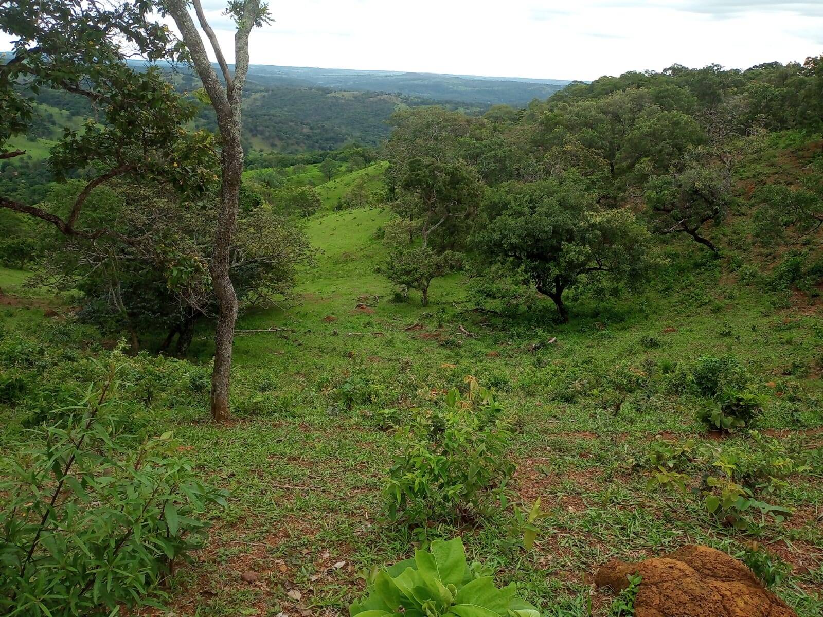 Fazenda em Caldazinha - GO 3