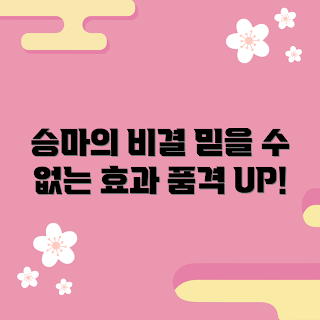 말안장 추천, 말안장 효과, 승마에 적합한 안장, 어떻게 말안장을 선택하나, 왜 좋은 말안장이 중요한가